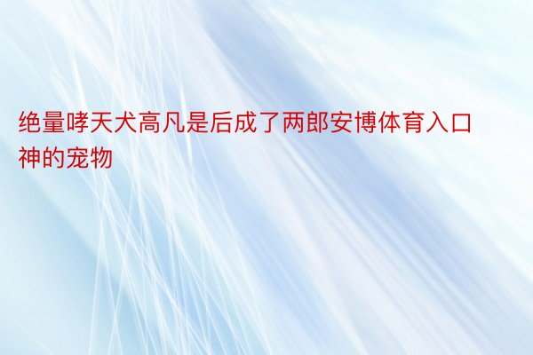 绝量哮天犬高凡是后成了两郎安博体育入口神的宠物