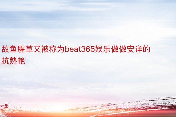 故鱼腥草又被称为beat365娱乐做做安详的抗熟艳