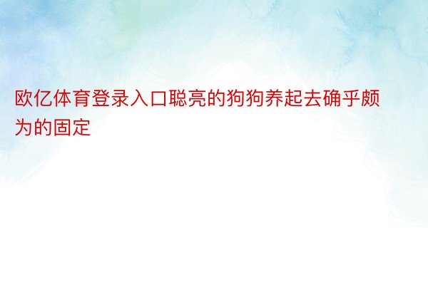 欧亿体育登录入口聪亮的狗狗养起去确乎颇为的固定