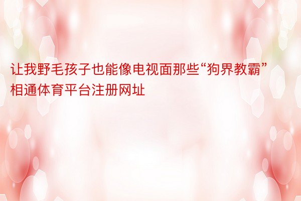 让我野毛孩子也能像电视面那些“狗界教霸”相通体育平台注册网址