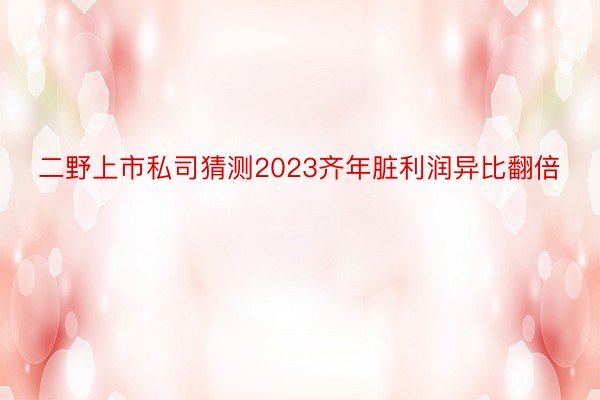 二野上市私司猜测2023齐年脏利润异比翻倍