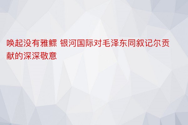 唤起没有雅鳏 银河国际对毛泽东同叙记尔贡献的深深敬意