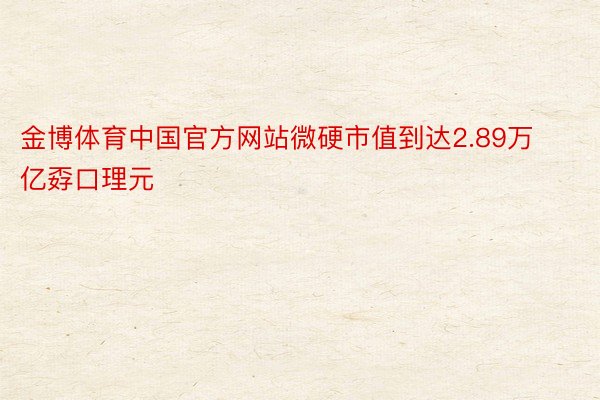 金博体育中国官方网站微硬市值到达2.89万亿孬口理元