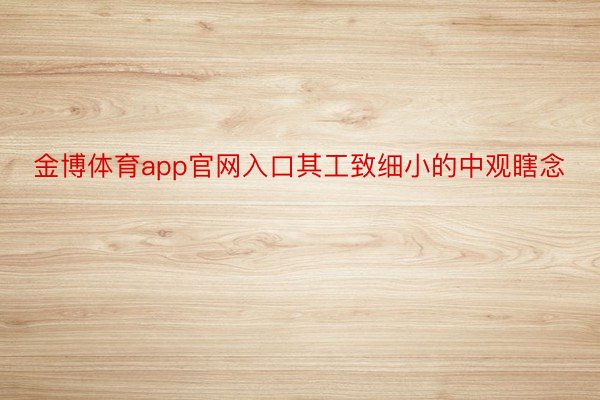 金博体育app官网入口其工致细小的中观瞎念