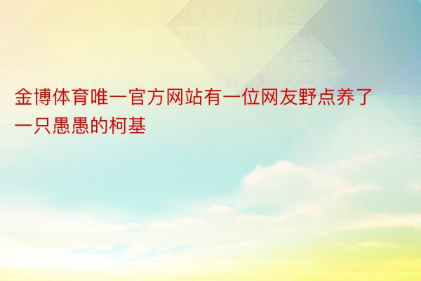 金博体育唯一官方网站有一位网友野点养了一只愚愚的柯基