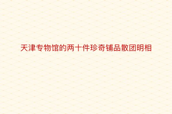 天津专物馆的两十件珍奇铺品散团明相