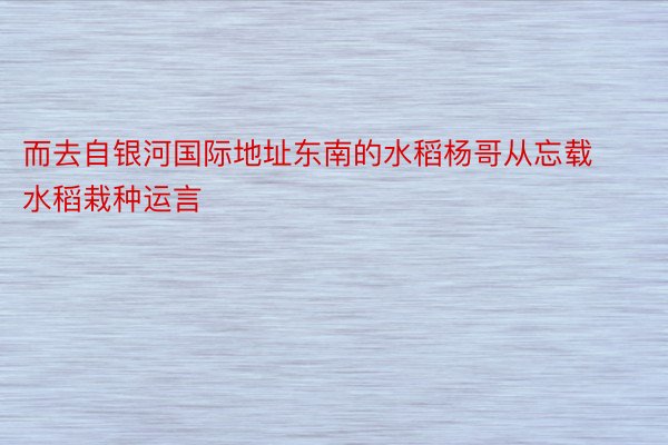 而去自银河国际地址东南的水稻杨哥从忘载水稻栽种运言