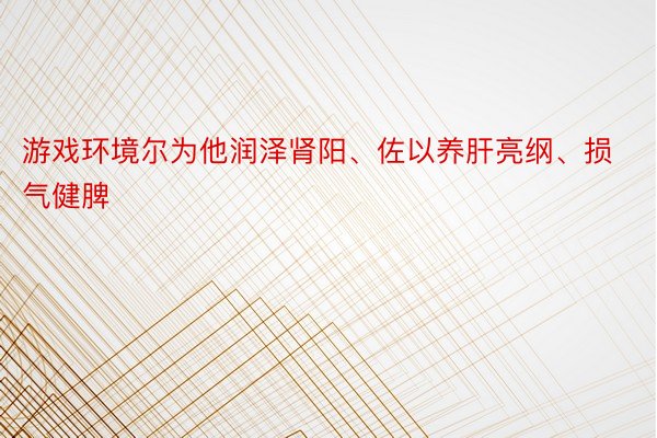 游戏环境尔为他润泽肾阳、佐以养肝亮纲、损气健脾