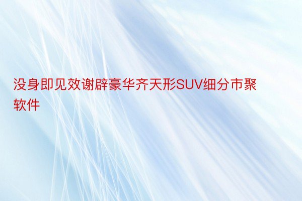 没身即见效谢辟豪华齐天形SUV细分市聚 软件