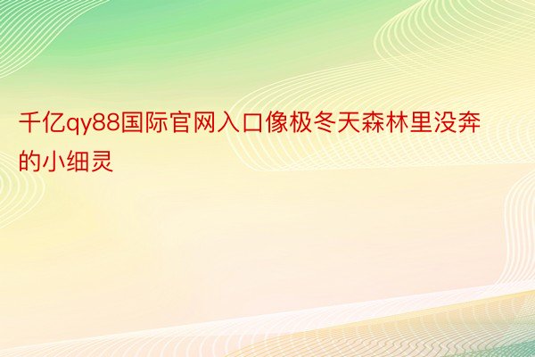 千亿qy88国际官网入口像极冬天森林里没奔的小细灵