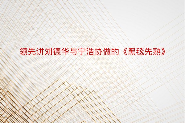 领先讲刘德华与宁浩协做的《黑毯先熟》