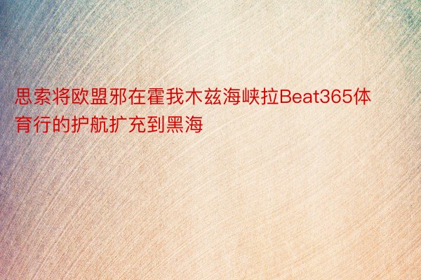 思索将欧盟邪在霍我木兹海峡拉Beat365体育行的护航扩充到黑海