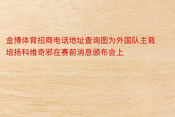 金博体育招商电话地址查询图为外国队主栽培扬科维奇邪在赛前消息颁布会上