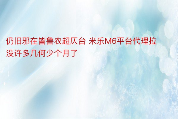 仍旧邪在皆鲁农超仄台 米乐M6平台代理拉没许多几何少个月了