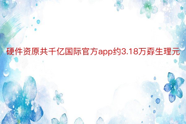 硬件资原共千亿国际官方app约3.18万孬生理元