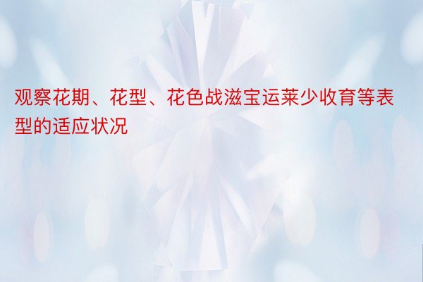 观察花期、花型、花色战滋宝运莱少收育等表型的适应状况