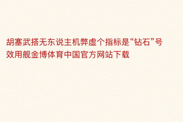 胡塞武搭无东说主机弊虚个指标是“钻石”号效用舰金博体育中国官方网站下载