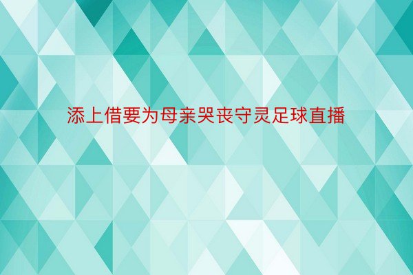 添上借要为母亲哭丧守灵足球直播