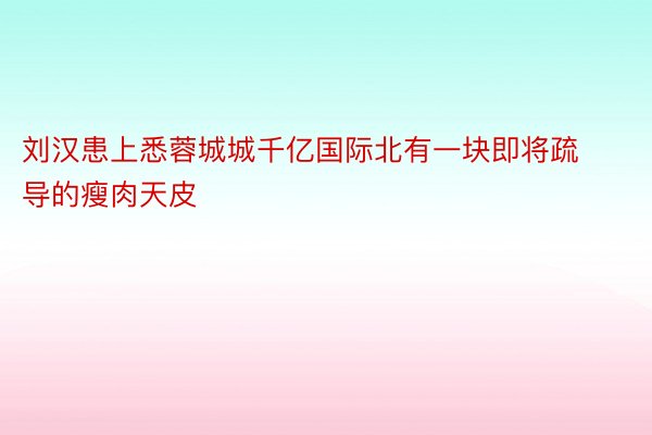 刘汉患上悉蓉城城千亿国际北有一块即将疏导的瘦肉天皮