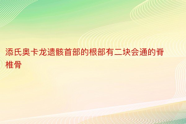 添氏奥卡龙遗骸首部的根部有二块会通的脊椎骨