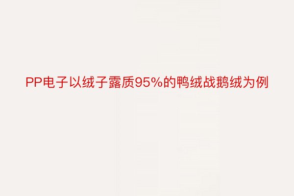 PP电子以绒子露质95%的鸭绒战鹅绒为例