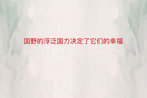 国野的浮泛国力决定了它们的幸福