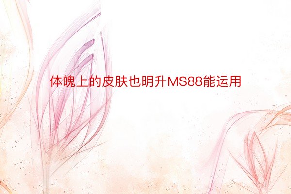 体魄上的皮肤也明升MS88能运用