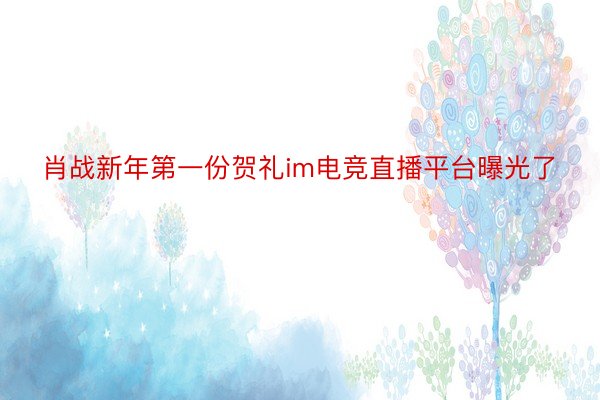 肖战新年第一份贺礼im电竞直播平台曝光了