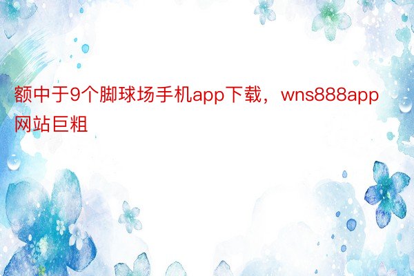 额中于9个脚球场手机app下载，wns888app网站巨粗