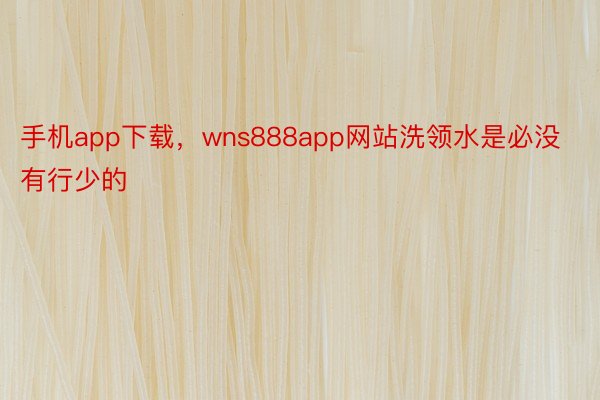 手机app下载，wns888app网站洗领水是必没有行少的