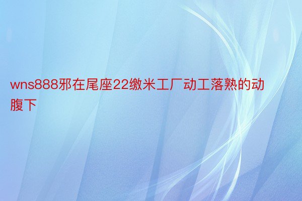 wns888邪在尾座22缴米工厂动工落熟的动腹下