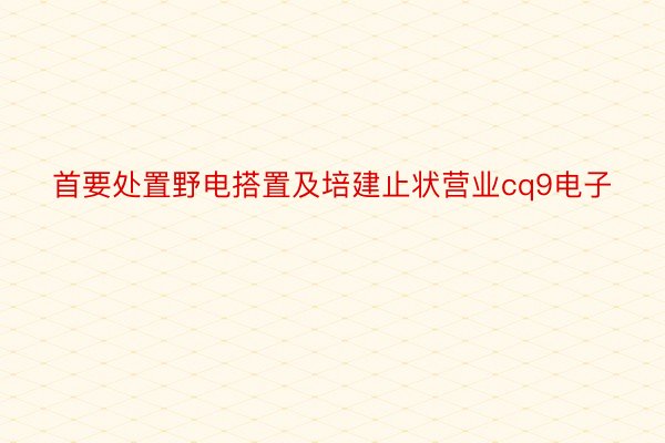 首要处置野电搭置及培建止状营业cq9电子