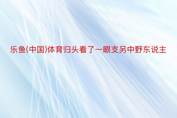 乐鱼(中国)体育归头看了一眼支另中野东说主