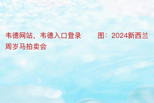 韦德网站，韦德入口登录       图：2024新西兰周岁马拍卖会