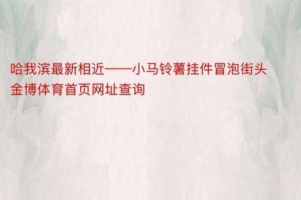 哈我滨最新相近——小马铃薯挂件冒泡街头金博体育首页网址查询