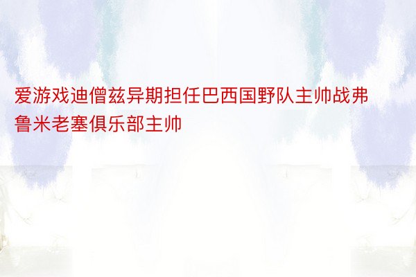 爱游戏迪僧兹异期担任巴西国野队主帅战弗鲁米老塞俱乐部主帅