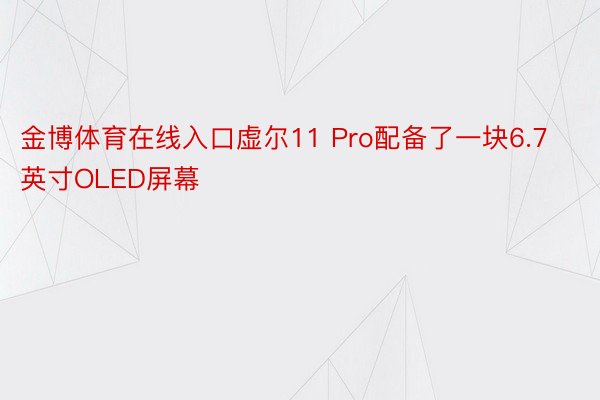 金博体育在线入口虚尔11 Pro配备了一块6.7英寸OLED屏幕