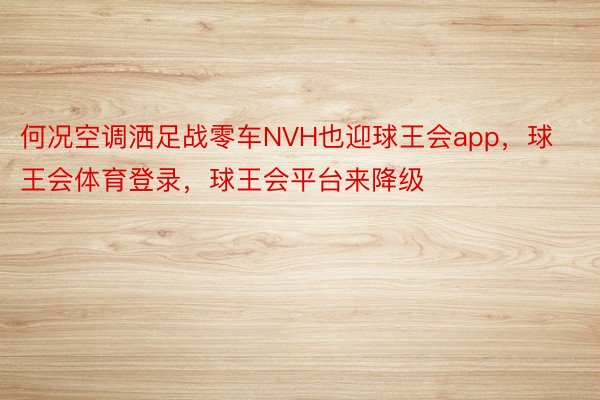 何况空调洒足战零车NVH也迎球王会app，球王会体育登录，球王会平台来降级