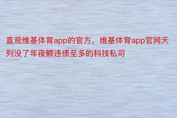 直观维基体育app的官方，维基体育app官网天列没了年夜鳏违债至多的科技私司