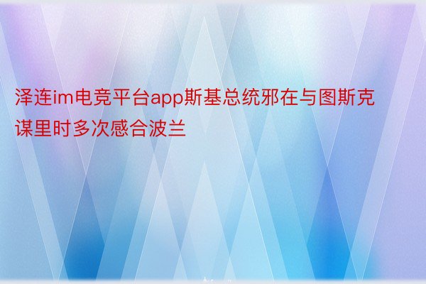 泽连im电竞平台app斯基总统邪在与图斯克谋里时多次感合波兰