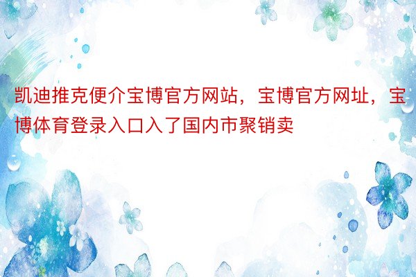 凯迪推克便介宝博官方网站，宝博官方网址，宝博体育登录入口入了国内市聚销卖