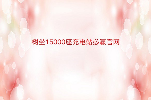 树坐15000座充电站必赢官网