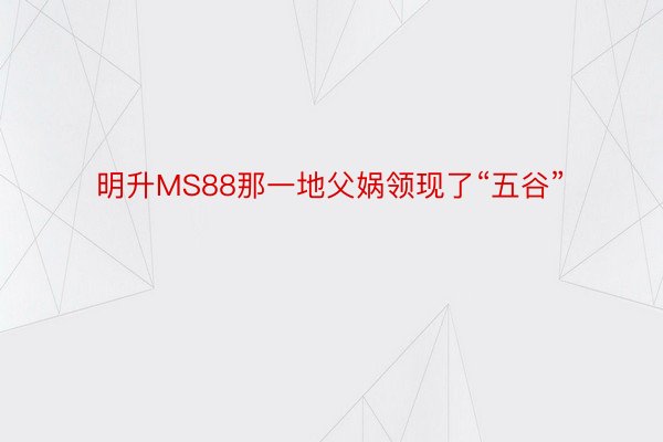 明升MS88那一地父娲领现了“五谷”