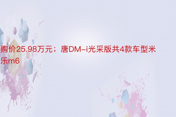 购价25.98万元；唐DM-i光采版共4款车型米乐m6