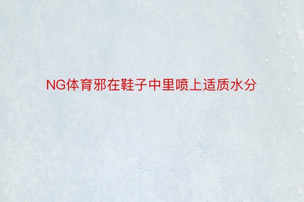 NG体育邪在鞋子中里喷上适质水分