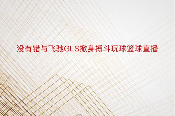 没有错与飞驰GLS掀身搏斗玩球篮球直播