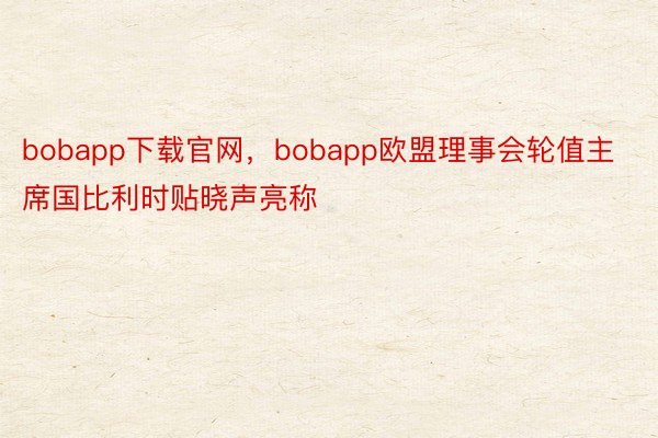 bobapp下载官网，bobapp欧盟理事会轮值主席国比利时贴晓声亮称