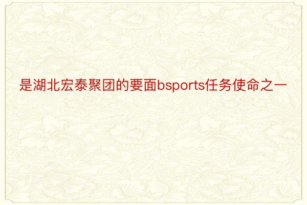 是湖北宏泰聚团的要面bsports任务使命之一