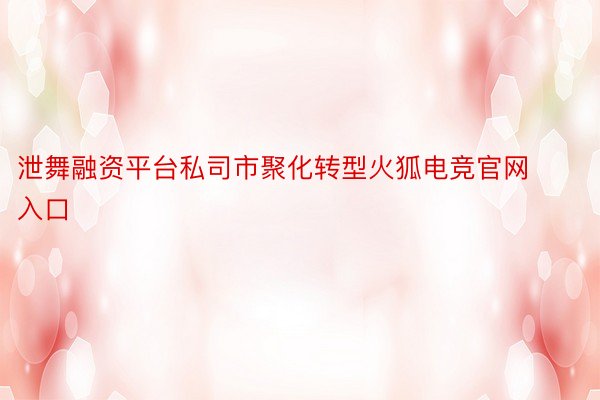 泄舞融资平台私司市聚化转型火狐电竞官网入口
