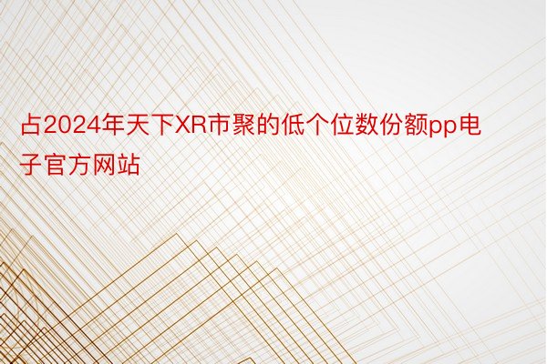 占2024年天下XR市聚的低个位数份额pp电子官方网站